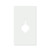 Onion Reusable Mylar Stencil - 10 mil Paint and Craft Stencil