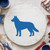 Husky Reusable Mylar Stencil, 10 mil Plastic Paint Stencil for Crafts and Decor