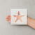 Starfish 3 Reusable Mylar Stencil - 10 mil Paint and Craft Stencil