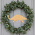 Ankylosaurus 2 Wood Cutout for Crafts, Unfinished Baltic Birch Craft Shape