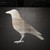 Crow 2 Steel Cutout Shape, Raw Metal Wall Art and Craft Supply