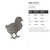 Baby Chick 3 Steel Cutout Shape, Raw Metal Wall Art and Craft Supply