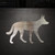 Dingo Steel Cutout Shape, Raw Metal Wall Art and Craft Supply