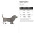 Basset Hound 2 Steel Cutout Shape, Raw Metal Wall Art and Craft Supply