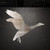 Duck 8 Steel Cutout Shape, Raw Metal Wall Art and Craft Supply
