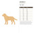 Labrador 2 Wood Cutout for Crafts, Unfinished Baltic Birch Craft Shape