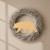 Bear 5 Wood Cutout for Crafts, Unfinished Baltic Birch Craft Shape