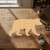 Black Bear 2 Wood Cutout for Crafts, Unfinished Baltic Birch Craft Shape