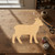 Lamb 3 Wood Cutout for Crafts, Unfinished Baltic Birch Craft Shape