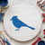 Blue Jay 4 Reusable Mylar Stencil, 10 mil Plastic Paint Stencil for Crafts and Decor
