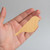 Bluebird Wood Cutout for Crafts, Unfinished Baltic Birch Craft Shape