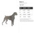 Boxer 2 Steel Cutout Shape, Raw Metal Wall Art and Craft Supply