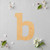 Lower Case B Wood Cutout for Crafts, Unfinished Baltic Birch Craft Shape