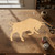 Bull 5 Wood Cutout for Crafts, Unfinished Baltic Birch Craft Shape