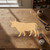 Bull 6 Wood Cutout for Crafts, Unfinished Baltic Birch Craft Shape