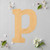 Lower Case P Wood Cutout for Crafts, Unfinished Baltic Birch Craft Shape
