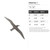Albatross 1 Steel Cutout Shape, Raw Metal Wall Art and Craft Supply