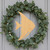 Angelfish Wood Cutout for Crafts, Unfinished Baltic Birch Craft Shape