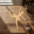 Ballerina 2 Wood Cutout for Crafts, Unfinished Baltic Birch Craft Shape