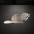 Beaver 2 Steel Cutout Shape, Raw Metal Wall Art and Craft Supply