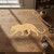 Big Cat Wood Cutout for Crafts, Unfinished Baltic Birch Craft Shape