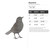 Blackbird Steel Cutout Shape, Raw Metal Wall Art and Craft Supply