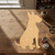 Bull Terrier 2 Wood Cutout for Crafts, Unfinished Baltic Birch Craft Shape