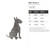 Bull Terrier 2 Steel Cutout Shape, Raw Metal Wall Art and Craft Supply