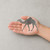 Camel 1 Steel Cutout Shape, Raw Metal Wall Art and Craft Supply