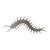 Centipede Steel Cutout Shape, Raw Metal Wall Art and Craft Supply