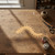 Centipede Wood Cutout for Crafts, Unfinished Baltic Birch Craft Shape
