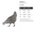 Chicken 3 Steel Cutout Shape, Raw Metal Wall Art and Craft Supply