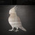 Cockatiel Steel Cutout Shape, Raw Metal Wall Art and Craft Supply