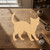 Cat Arch Back Wood Cutout for Crafts, Unfinished Baltic Birch Craft Shape