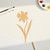 Daffodil Wood Cutout for Crafts, Unfinished Baltic Birch Craft Shape