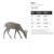 Doe 1 Steel Cutout Shape, Raw Metal Wall Art and Craft Supply