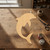Dolphin 1 Wood Cutout for Crafts, Unfinished Baltic Birch Craft Shape