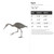 Egret Steel Cutout Shape, Raw Metal Wall Art and Craft Supply
