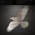 Flying Raven Steel Cutout Shape, Raw Metal Wall Art and Craft Supply