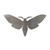 Moth Steel Cutout Shape, Raw Metal Wall Art and Craft Supply