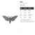 Moth Steel Cutout Shape, Raw Metal Wall Art and Craft Supply