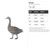 Goose Steel Cutout Shape, Raw Metal Wall Art and Craft Supply