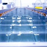 Canale didattico e di ricerca standard 17.5 metri