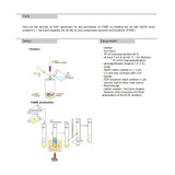 EF-6.5 – Tecnologia dei combustibili da biomassa