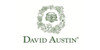 David Austin Roses