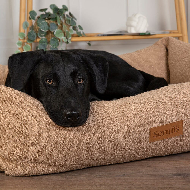 Dog Bed, Scruffs, Pet Care Bents Garden and Home