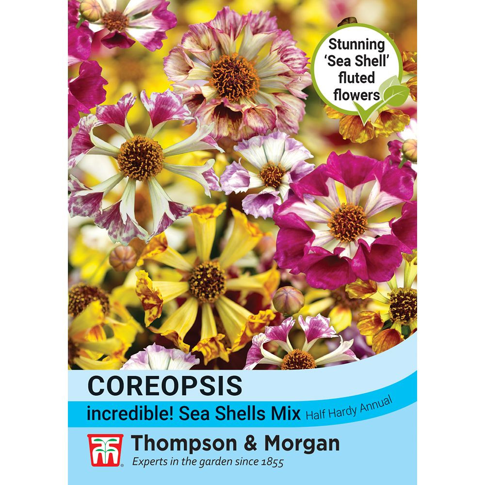 Shell Less Flower Seeds Thompson & Morgan Flower Seeds - Coreopsis Incredible Sea Shells Mix ...