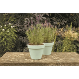 Ronseal Garden Paint Mint 250ml