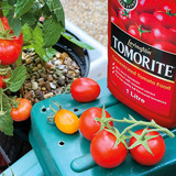 Levington Tomorite Concentrated Tomato Food 1L