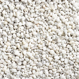 Coral White Pebbles